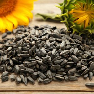 Safflower Seeds