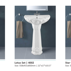 Basin With Padestal