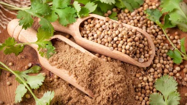 Coriander Powder